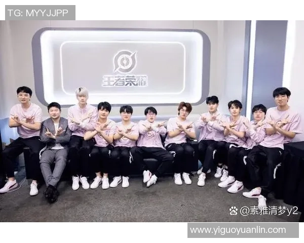 深入分析JDG与WE比赛的关键决策与战术执行经验分享